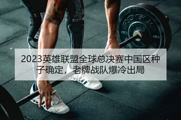 ying-xiong-lian-meng-quan-qiu-zong-jue-sai-zhong-guo-qu-zhong-zi-que-ding-lao-pai-zhan-dui-bao-leng-chu-ju-2-416.jpg